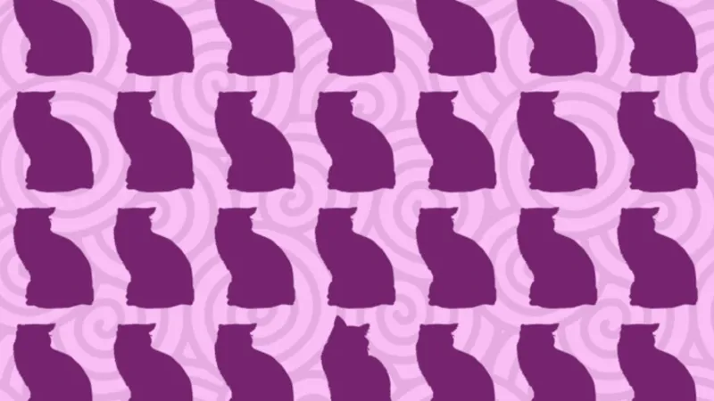 146 kişi denedi ama sadece 1 kişi çözdü! Resimdeki farklı kedi siluetini 6 saniyede bulan dahi sayılıyor