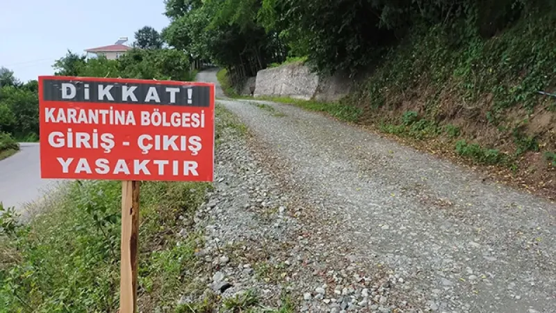 Sivas'ta Şap Alarmı! 8 Köy ve 8 Mahallede Karantina Başladı!
