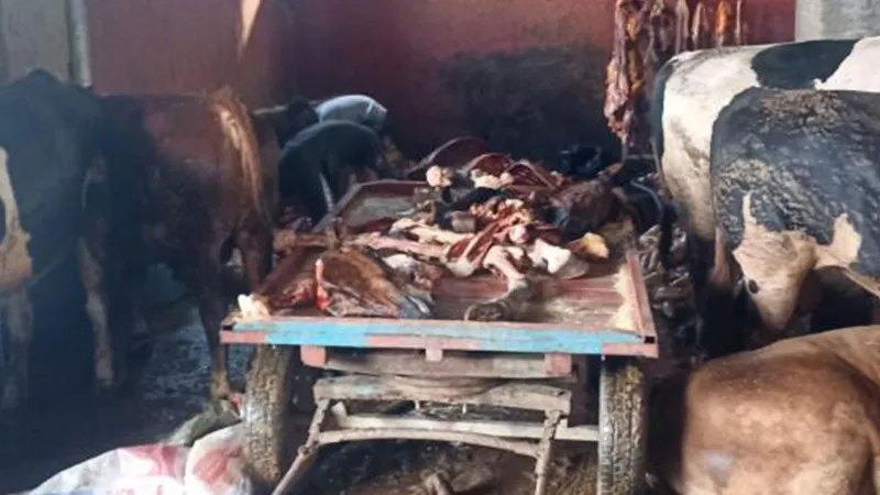 Adana'da At Eti Operasyonu! Kebabın Sırrı Ortaya Çıktı Mı?