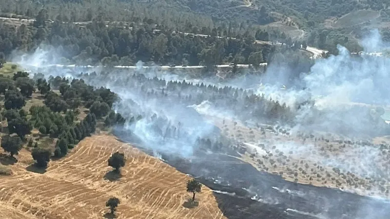 Adana'da Orman Yangını! İşte Söndürme Çalışmalarının Detayları