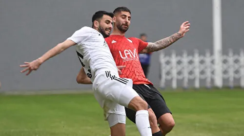 Altay'da 2 fire 