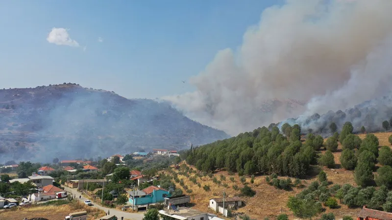 Aydın'da yangın büyüyor: 1 mahalle boşaltıldı, çevre illerden takviye istendi