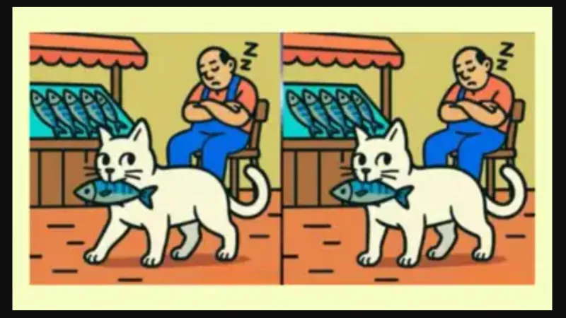 Balıkçıdan balık çalan iki kedi arasındaki 3 farkı sadece yüksek IQ'su olanlar 14 saniyede buluyor