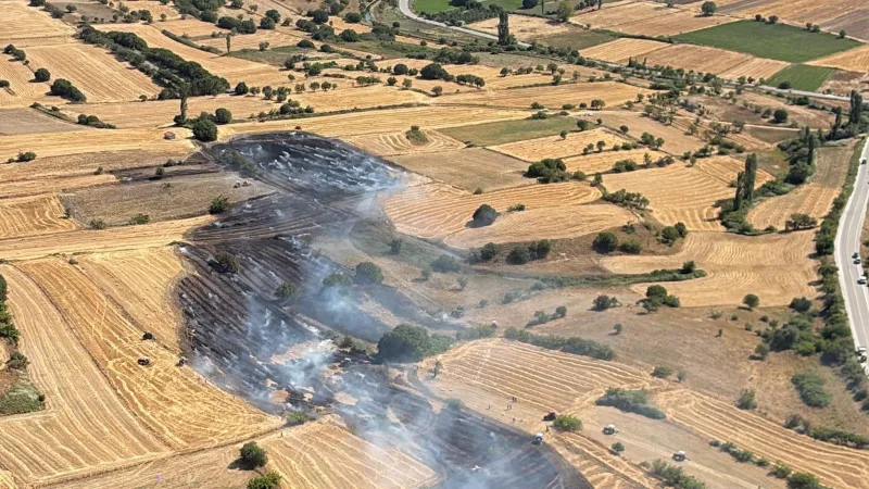 Balıkesir'de arazide yangın