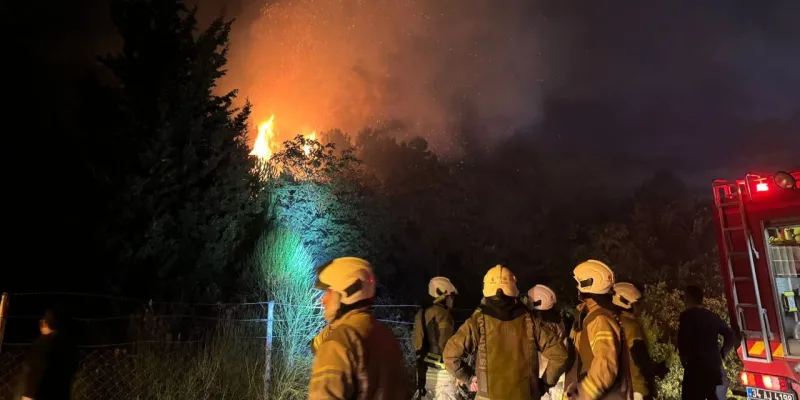 Beykoz'da orman yangını! Alevler hızla yayıldı