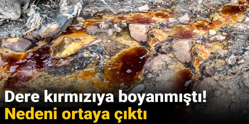 Dere kırmızıya boyanmıştı! Nedeni ortaya çıktı