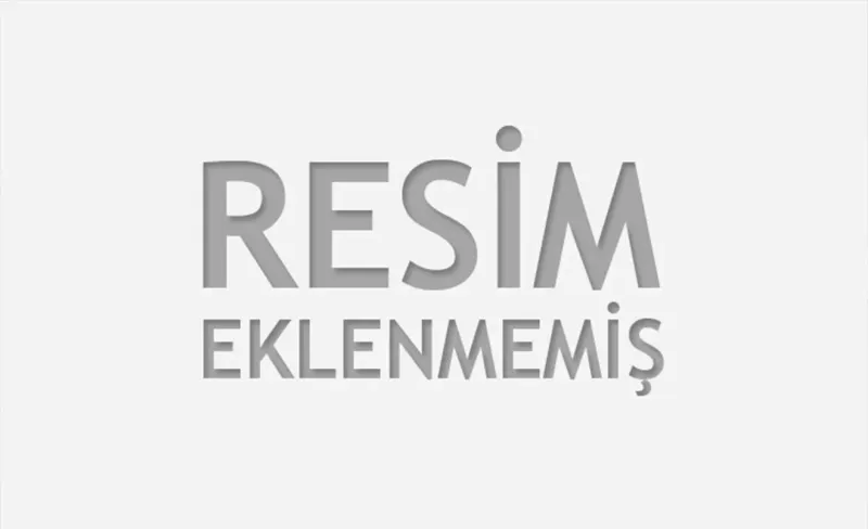 Fatih Dönemi Sanat Anlayışı Ve Sanatın Kurumsallaşması (II)