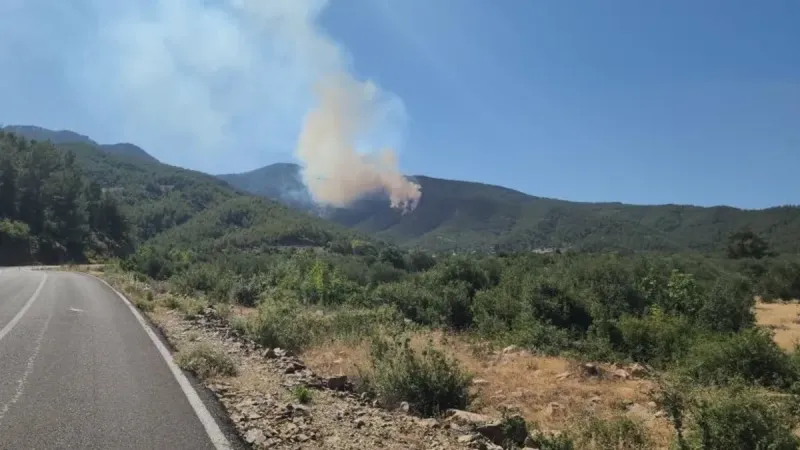 Hatay'da Korkutan Yangın! Orman Alevlere Teslim Mi Oldu?