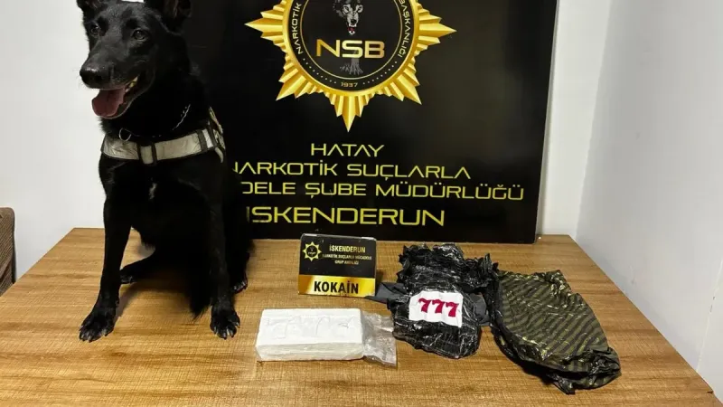 Hatay'da otomobilin kaputundan çıktı: Piyasa değeri 5 buçuk milyon TL!