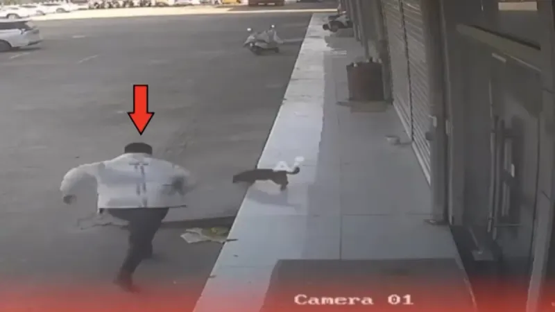 İzleyen “ilahi adalet” dedi! Sosyal medyayı sallayan görüntü