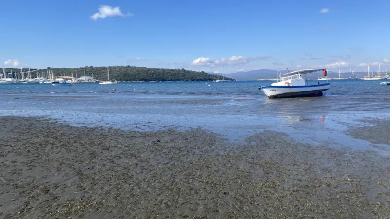 İzmir'de Tatil Rotası Değişti: Çeşme'yi Unut, Seferihisar'a Koş!