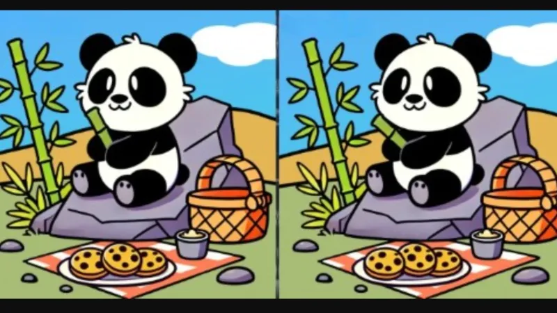Kayaya oturmuş piknik yapan iki panda arasındaki 3 farkı sadece yüksek IQ'su olanlar 14 saniyede buluyor
