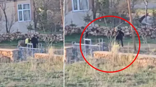 Eşeğe İşkence! Vicdansız Adam Sopayla Dakikalarca Dövdü