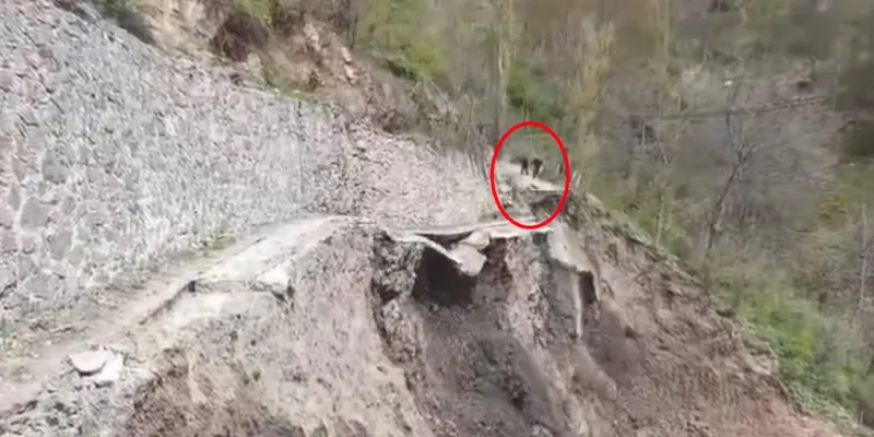 Artvin'de Dağ Koptu! Son Anda Kurtuluş Anı Kamerada