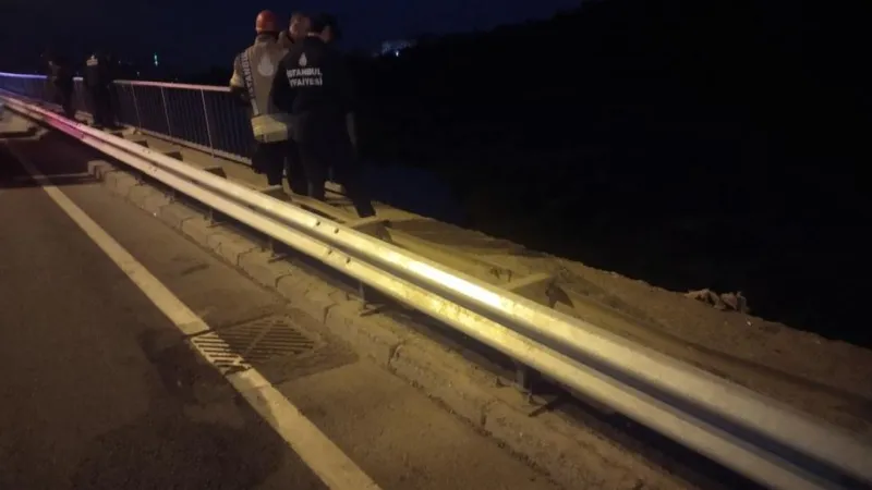 İstanbul'da Gölete Uçan Otomobil! Sürücü Hayatta mı?