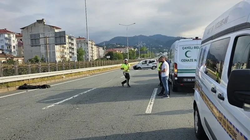 Rize'deki 2 kardeşin öldüğü kazaya arı sebep oldu