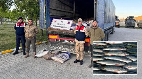 Van'da Şok Baskın! 19 Ton Ölü İnci Kefali Bulundu! Balıklar Neden Öldü?