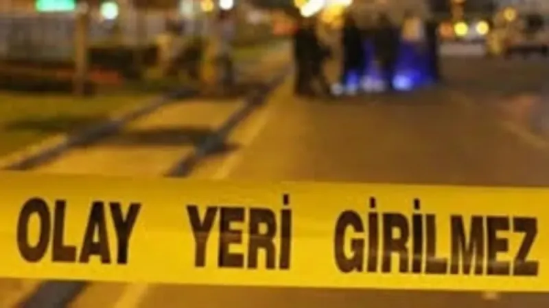 Vücuduna kene yapışan Metehan öldü
